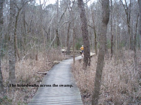 Photo of the boardwalk at Rocky Raccoon.