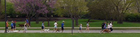 Photo of the Dog Jog on Naismith Drive