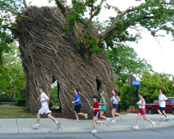 Photo of the KU Bird's Nest as Dog Days runners go by.