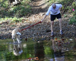 Photo of dog and runner cross the creek at Kill Creek.