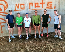 Photo of the Sandrats and "no rats" graffiti.