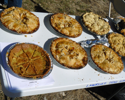 Photos of pies for the Pi Day Run.