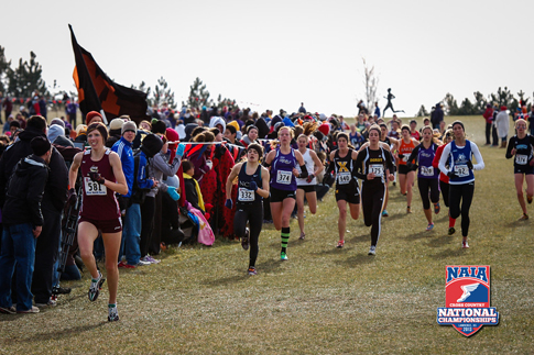 Photo of the women's race at the NAIA National Cross Country Championships at Rim Rock Farm.