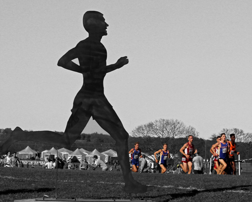 Photo from the Midwest NCAA Regional Cross Country Meet.