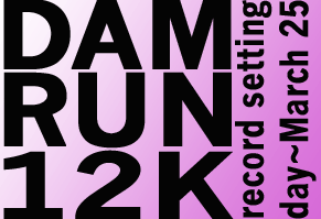 Dam Run 12K promotional logo