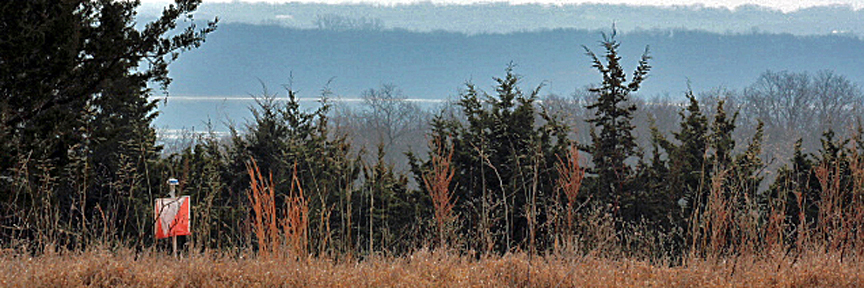 Photo looking south from the top of Woodridge.